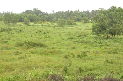 othashy airport hotel