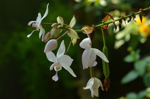 othashy airport hotel
