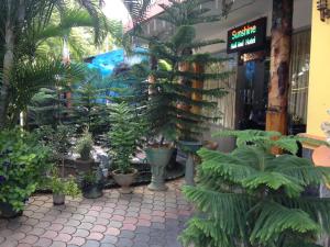 sunshine hotel and hall