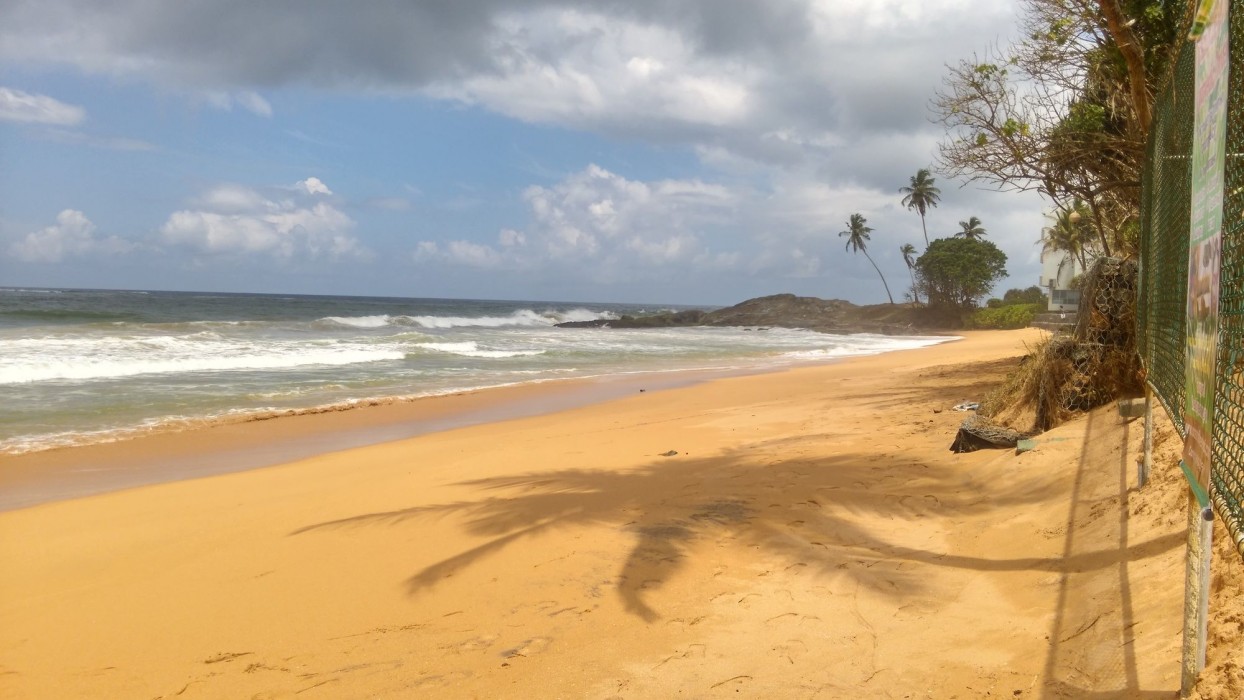 ocean of life ayurvedic resort