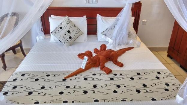 ocean of life ayurvedic resort