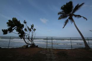 ocean of life ayurvedic resort