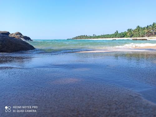 ocean of life ayurvedic resort