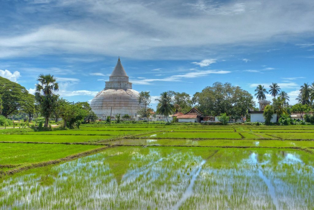 The Rain Tree Hotel,Kataragama>>Hambantota,3 star
