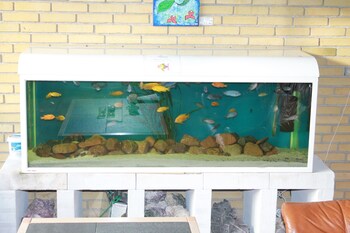danhostel saksk bing