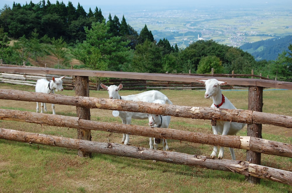 aomori winery hotel