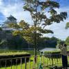 sakura garden hotel