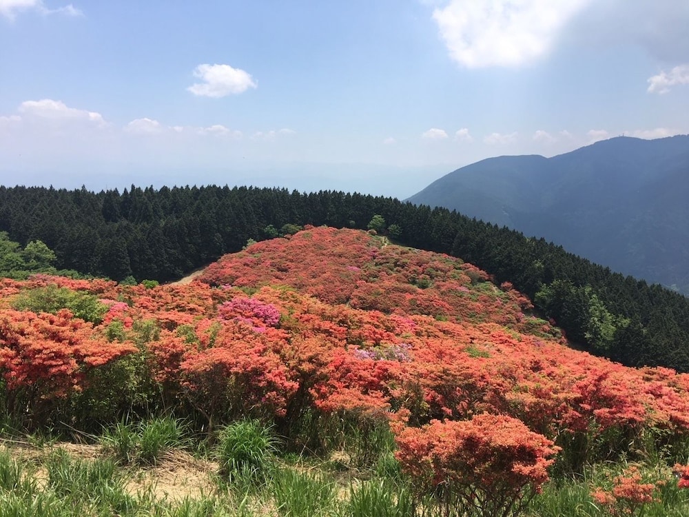 hotel woo adults only