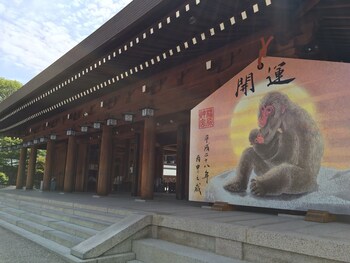 hotel woo adults only