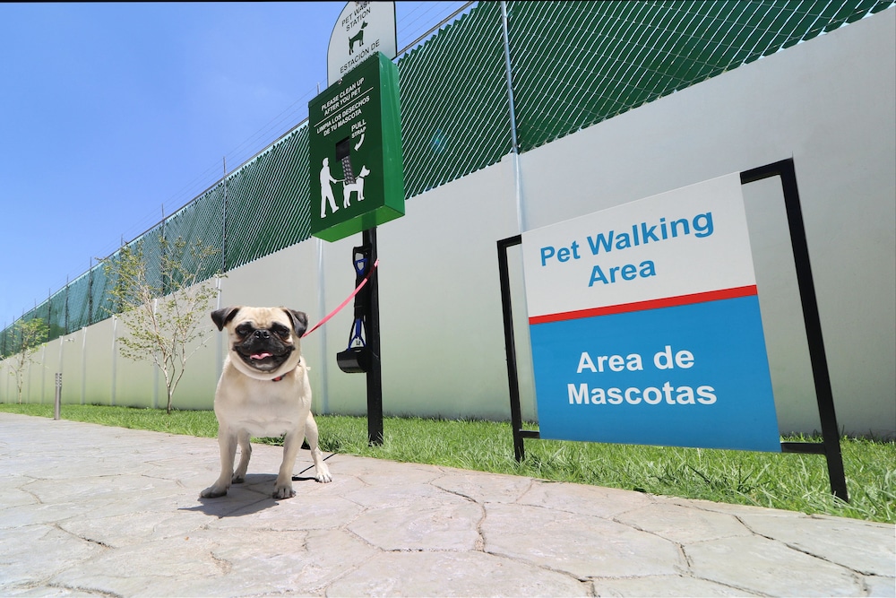 candlewood suites celaya by ihg