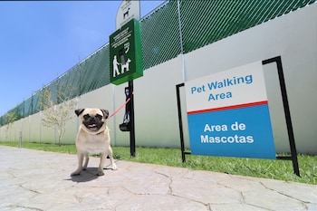 candlewood suites celaya by ihg