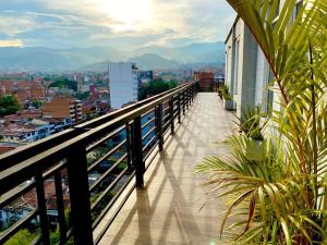 medellin