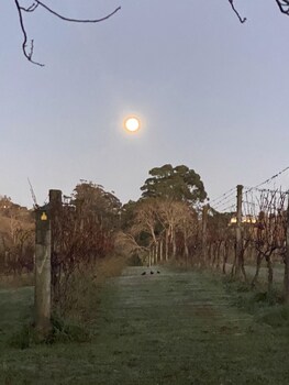 Vineyard Cottages,Auckland Region>>Auckland,4 star