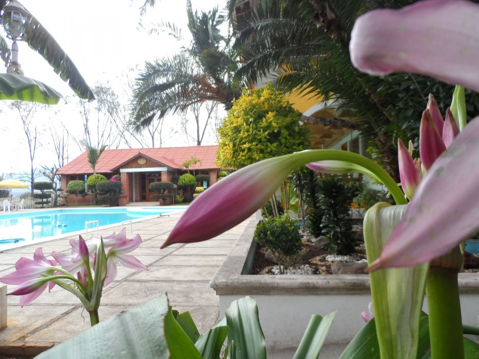 hotel hacienda montesinos