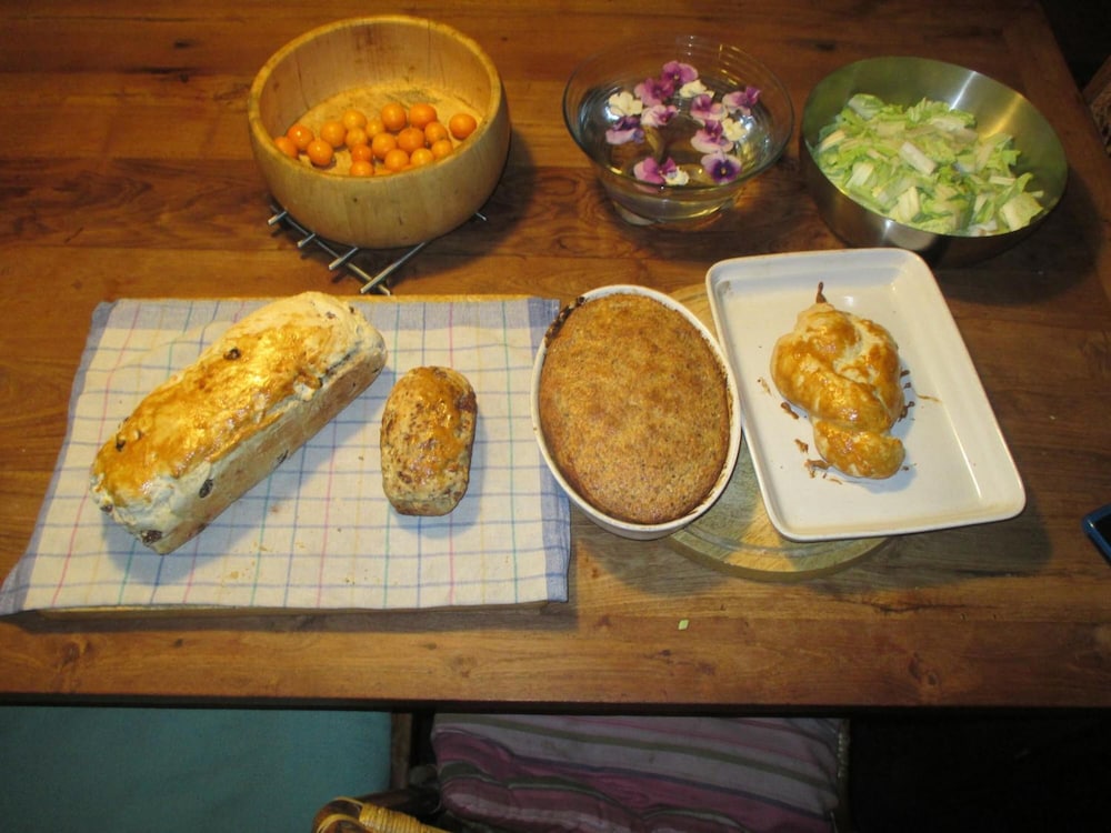 hotel swiss family home