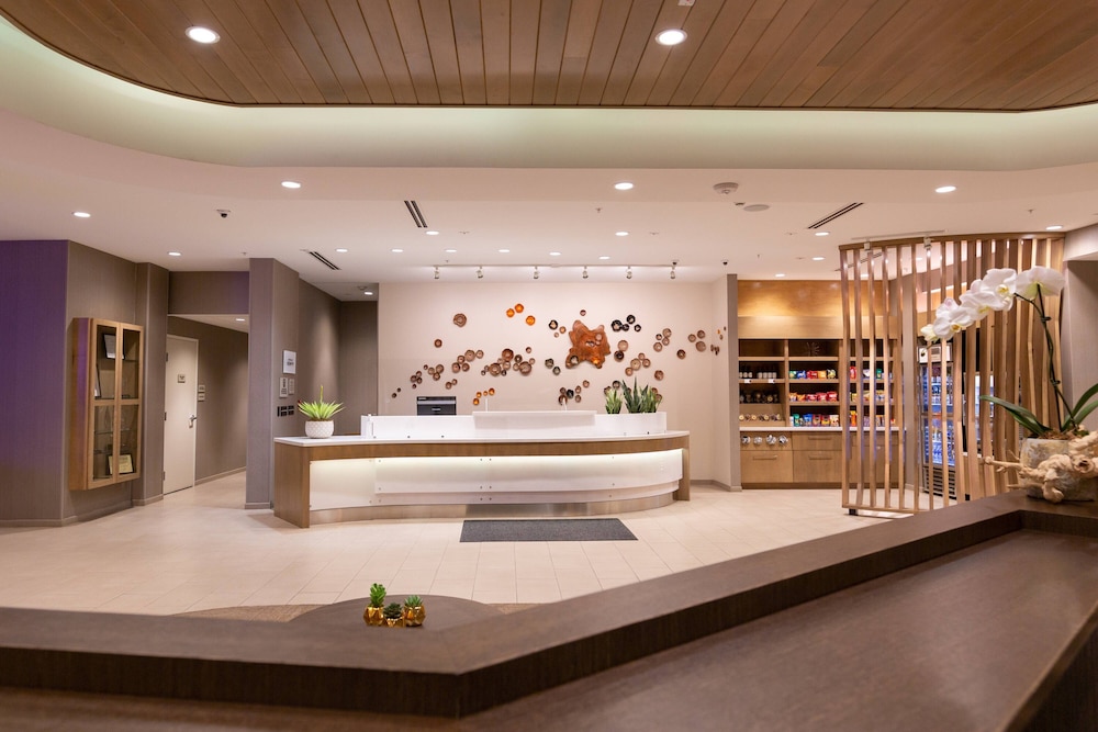 springhill suites by marriott austin cedar park