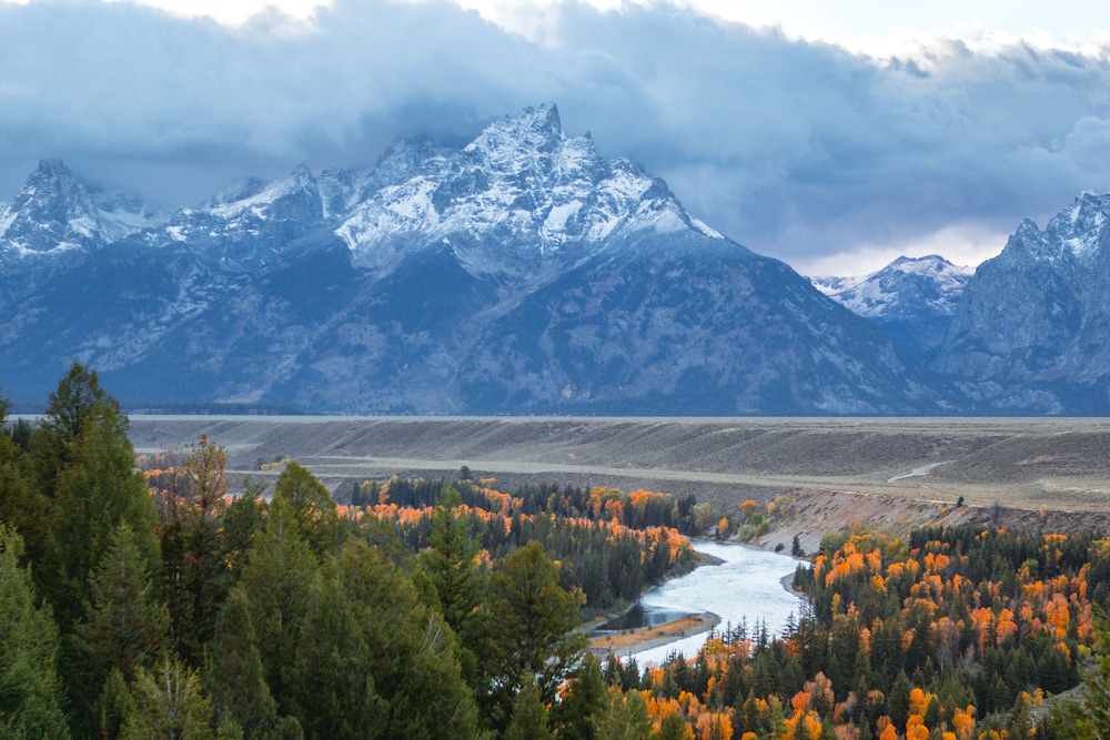 springhill suites jackson hole