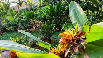 happiness boutique resort