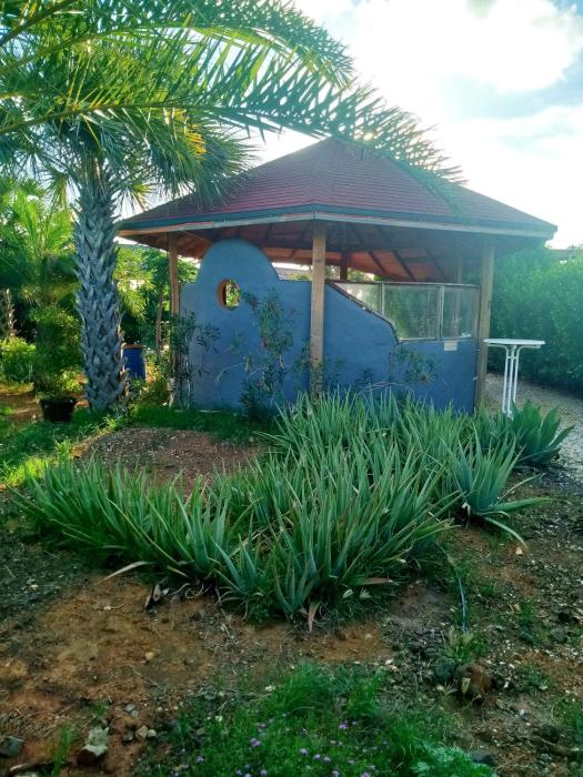 red palm village