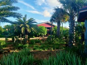 Red Palm Village,Kralendijk>>Bonaire,3 star