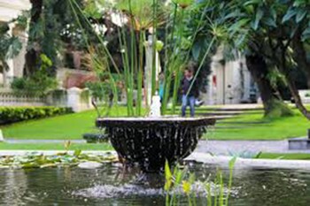 cherry garden