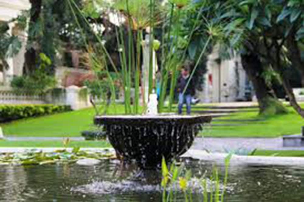 cherry garden