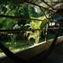 cherry garden