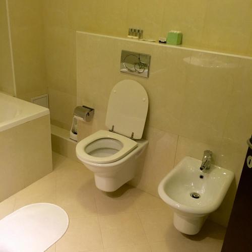 elysium accommodation