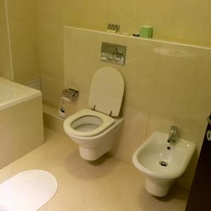 elysium accommodation