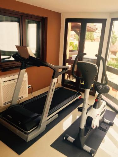 elysium accommodation