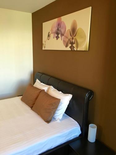 elysium accommodation