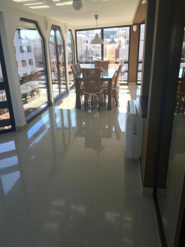 elysium accommodation