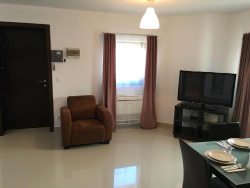 elysium accommodation