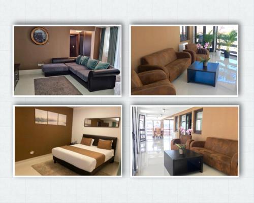 elysium accommodation