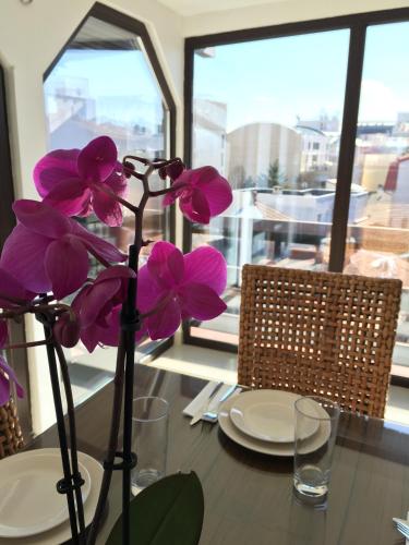 elysium accommodation