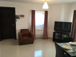 elysium accommodation