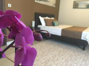 elysium accommodation