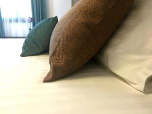 elysium accommodation