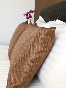 elysium accommodation