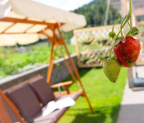 eco boutique hotel a m s beagle bled