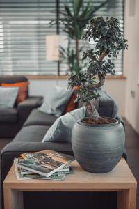 eco boutique hotel a m s beagle bled