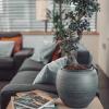 eco boutique hotel a m s beagle bled