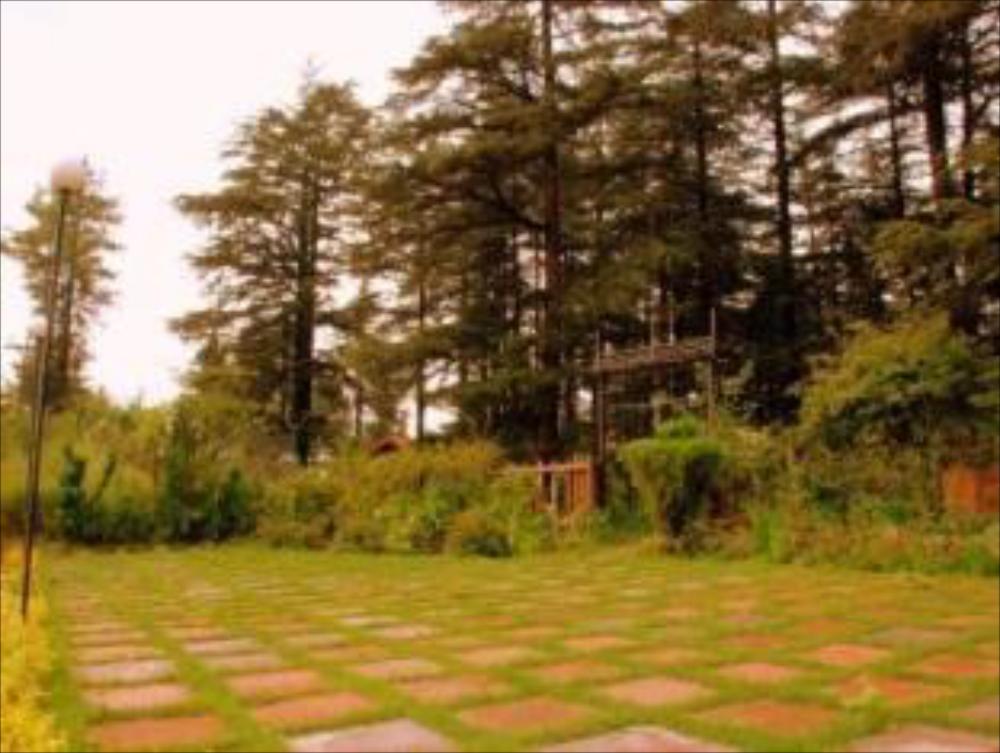 hotel deepwoods