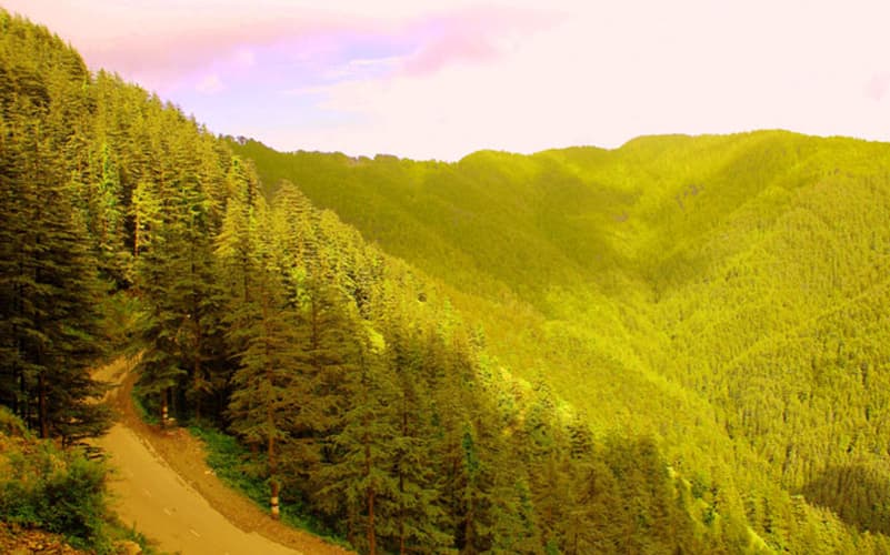 hotel deepwoods