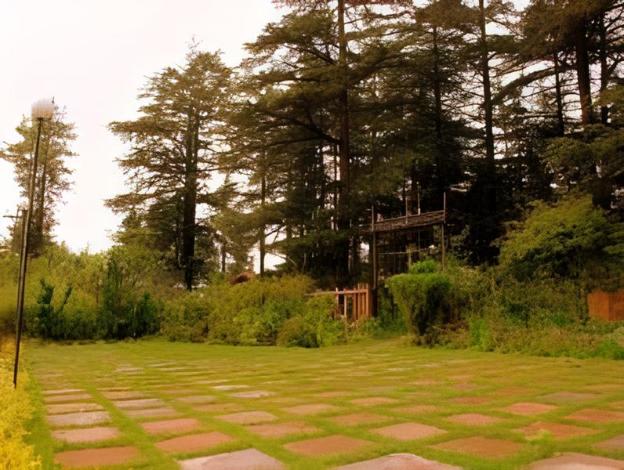 shimla