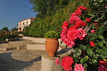 lemnos