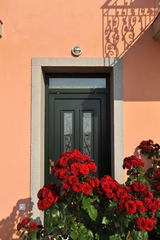 lemnos
