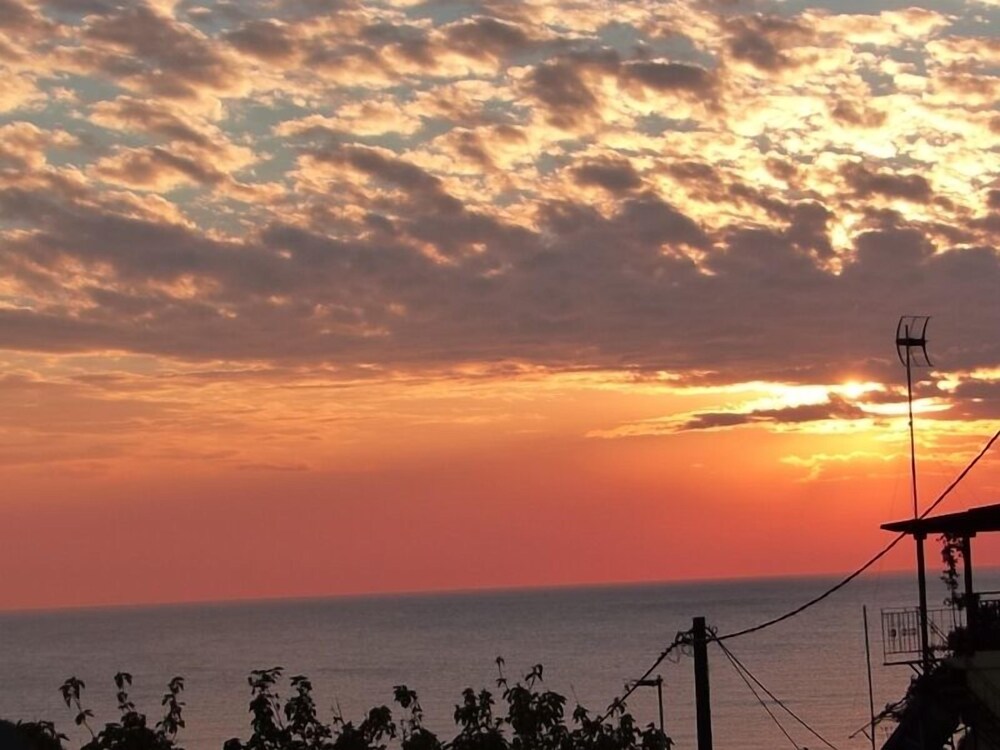 lemnos
