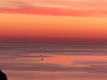 lemnos