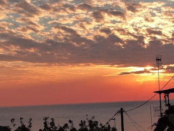 lemnos